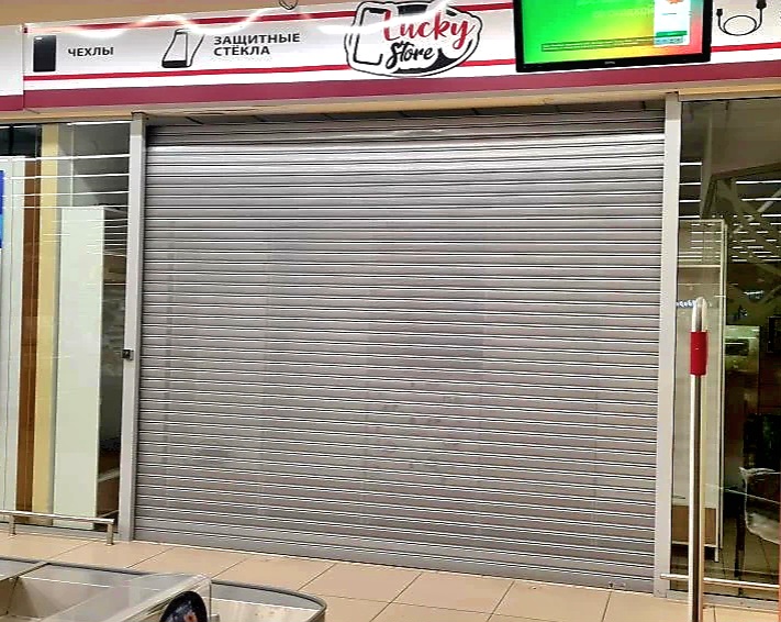 Роллетные ворота DoorHan в Артёме с установкой